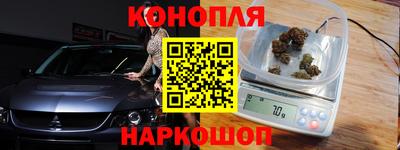 крисы Моздок