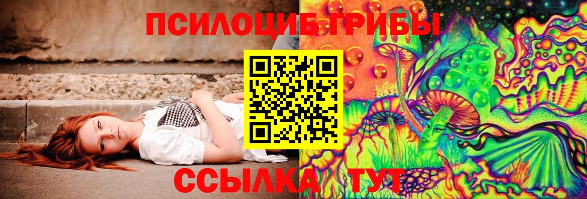 Псилоцибиновые грибы GOLDEN TEACHER  Вход с VPN  Тольятти 